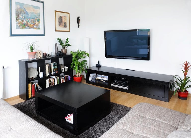 Modern living room with black coffee table, wall-mounted TV, shelving unit with plants and books, and gray carpet on wooden floor